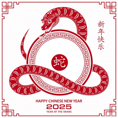 2025年 生肖|2025年属什么生肖 2025年的生肖是什么